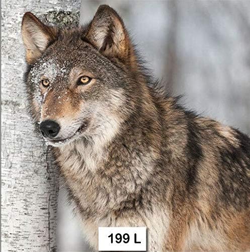 High Quaity Individual Paper Decoupage Napkin Unique Creative Design Collection 0 Fashion Mall Agallasgastrofood Com