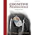 Cognitive Neuroscience (PSY 381 Physiological Psychology)