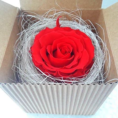 Rosa Preservada Roja en caja de regalo: Amazon.es: Jardín
