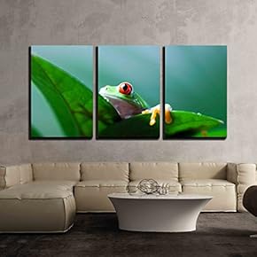 3 Piece Canvas Wall Art - Frog Shadow on The Leaf - Modern Home Art Stretched and Framed Ready to Hang - 16"x24"x3 Panels