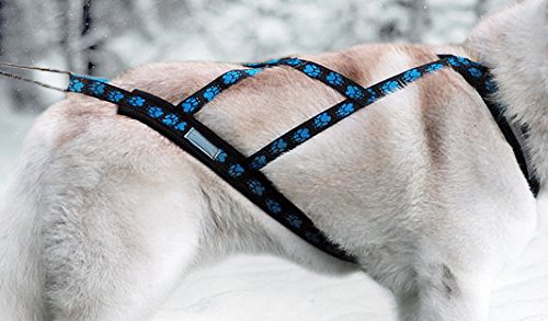 X-Back Weight Pulling Dog Harness for Bike, Skijoring, Scooter, Sleigh, blue paws