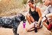 Highwave AutoDogMug Dog Water Bottle BPA-Free Portable Dog Water Bottle | Leak-Proof Portable Dog Water Bottle for Hiking and Traveling | Dish-Washer Safe, 20 oz