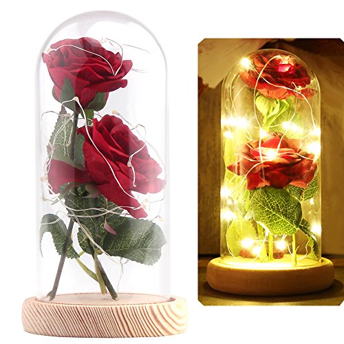 Beauty And The Beast Red Rose Flower Led Light Fallen Desertcart