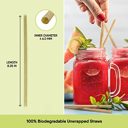 100 Biodegradable EcoFriendly Unwrapped Straws, 300ct 8.25"H, Made