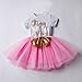 Newborn Baby Girl Princess It's My 1st/2nd Birthday Party Cake Smash Shinny Sequin Bow Tie Tulle Tutu Dress Outfit Pink (1 Year)