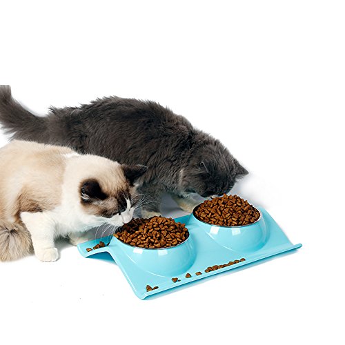 Chic Peach Stainless Steel Double Cat Bowl Dog Kitties Pet