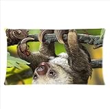 Star Wars Cool Custom Pillowcase Pillow Sham Queen Size Pillow Cushion Case Cover Two Sides Printed 20x36 Inches