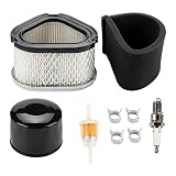 Harbot GY20574 M92359 Air Filter with AM125424 Oil Filter Tune Up Kit for John Deere STX30 STX38 STX46 LX173 LX172 LX176 LX178 LX186 LX188 LT133 LT155 LX255 LTR166 Scotts S1642 SST15 Lawn Tractor