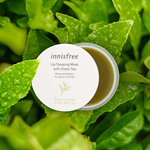 innisfree Green Tea Hydrating Lip Sleeping Mask Overnight Balm