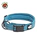 Chai's Choice Dog Collar Small (Teal Blue) | Comfortable & Stylish Pet Collar with Adjustable Strap Soft Padded | No-Choke & Quick Release | 3M Reflective Stripes for Dog Visibility