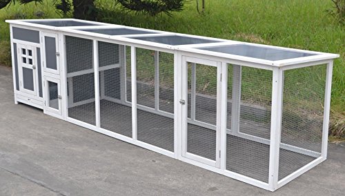 Best Chicken Coop For Your Backyard In 2019 Amatop10
