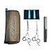 AuroTrends Professional Barber Razor Edge Hair Cutting Shears Set,Hairdressing Scissors and Hair Thinning Scissors/Shear Set+ Free Case/Hairclips/Comb/Cleaning Cloth (Blue)