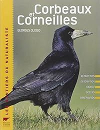 Corbeaux et corneilles