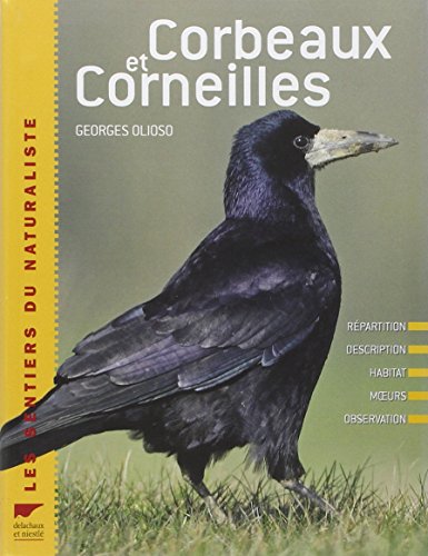 Corbeaux et corneilles