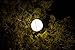 BioLite SiteLight Overhead String Lights, SiteLight XL
