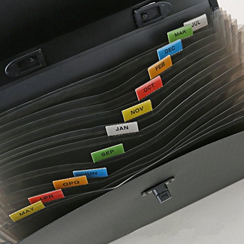 Little-Feet 13 Pockets Expanding File Folder Plastic A4 Letter Size Expandable File Organizer Self Document Accordion File Folder Wallet Briefcase Business Filing Box with Handle