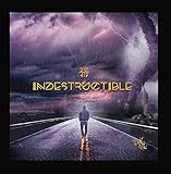 Indestructible