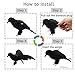 XONOR Realistic Feathered Crows - 3Pcs Halloween Decoration Realistic Looking Birds Black Feathered Crows Halloween Prop Décor