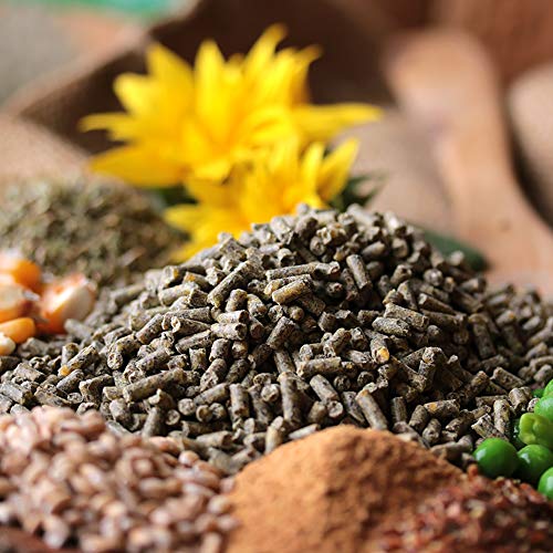 ChickenGold ProNatur-Hühnerkorn 10kg - Hühnerfutter Pellets - Bio Legekorn Biofutter - sojafrei – Bild 4