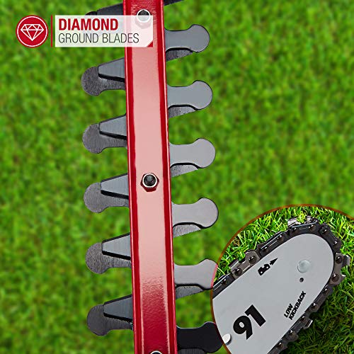 NETTA 2in1 20V Cordless Pole Telescopic Chainsaw and Hedge Trimmer