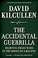 The Accidental Guerrilla: Fighting Small Wars in the Midst of a Big One
