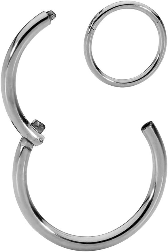 365 SleepersTitanium Implant Grade Nose Rings 20G 18G 16G 14G 12G 10G 8G 6G Septum Jewelry Hinged Segment Ring Body Piercing Hoop Lip Rings Helix Cartilage Rook Earrings Nickel Free Hypoallergenic