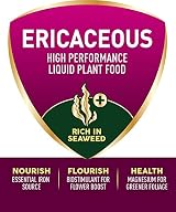 Westland Ericaceous High Performance Liquid Plant Food 1 Litre Green view 6