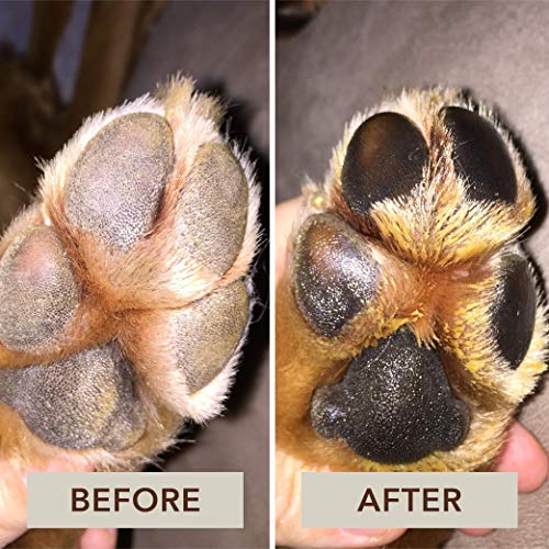 5 Natural+Dog+Company+Soother+Protection