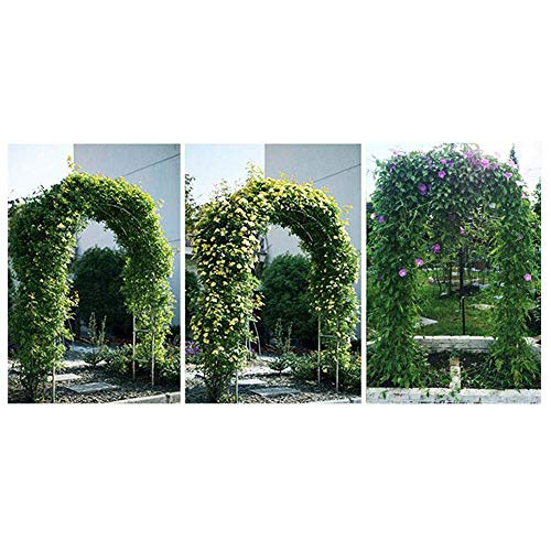 SAFGH Gartenbogenrahmen Einfach zu montieren für Kletterpflanzen Rose Support Kletterpflanzen Torbogen, wetterfest… – Bild 5