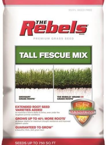 PENNINGTON SEED 100526887 Fescue Seed