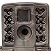 Moultrie A-20i Mini Game Camera 2 Pack