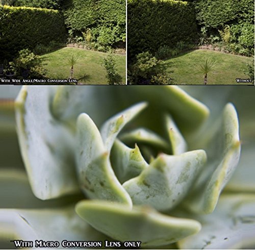 55mm Wide Angle 0.45x Conversion Lens with Macro Close-Up Attachment for Sony a7, a7S, a7IIK, a7II, a7R II Mirrorless Camera SLT A57 A58, A58K, A65, A65V, a68, A77II, A77 II, A99V DIgital SLR Camera