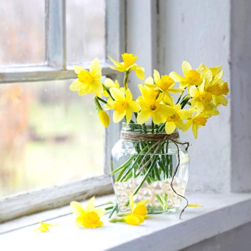 DomeStar Plastic Bead Pearls, 185 PCS 5 Sizes Assorted Pearls Bead Ivory Faux Pearls for Vase Filler Table Scatter Wedding Birthday Party Home Decoration