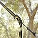 Wise Owl Outfitters Hammock Straps for Trees – 10ft Heavy-Duty Tree Hanging Kit with Carabiners, 38 Loops & Hooks – Essential Hammock Accessories for Camping