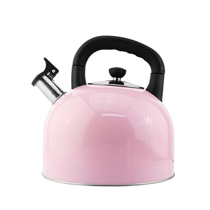 Amazon Com Anxi Tea Kettle For Induction Cooktop Kettles