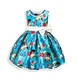 AOVCLKID Moana Girls Cotton Printed Dress Princess Cartoon Party Dress (Blue,120/4-5Y)