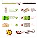 Bamboo Paddle Skewers 3.5 Inch, Food Grade Cocktail Picks, Appetizer Picks, Barbecue Sticks for Party and Grilling Foods: Appetizer, Fruits Kabob, Sausage, Burger. (180 PCS, Green Skin)