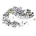 Hemway Silver Holographic Mixed Multi Chunky Glitter Purpose Dust Powder Arts Crafts Decorations Costumes Makeup Cosmetic Face Eye Body Skin Hair Festival 10g
