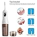 2NICE Portable Water Flosser Oral Irrigator with Nasal Wash Function of 2 Modes IPX6 Waterproof Rechargeable by USB Charger (Brown)
