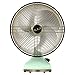 Vornado Silver Swan Alchemy Oscillating Vintage Fan, Seafoam