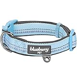 Blueberry Pet 6 Colors Soft & Comfy 3M Reflective Pastel Color Padded Dog Collar