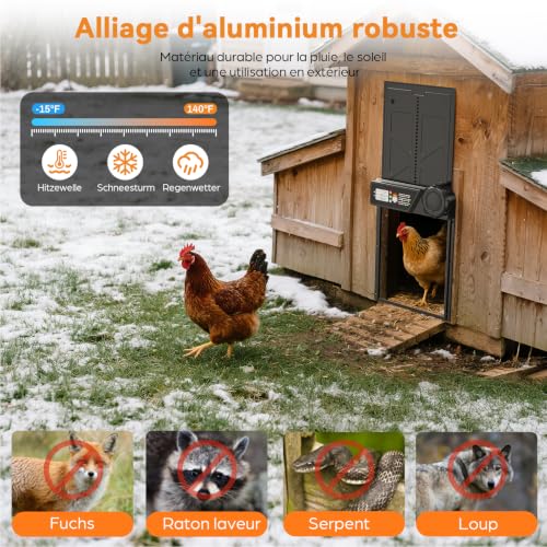 Grande Porte Automatique Poulailler Solaire avec Panneau 7W | Minuterie, Télécommande 15m, Écran LCD, Anti-Pincement, pour Poules Canards