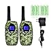 Great Walkie Talkies!