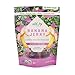 Wild Joy Goods Banana Jerky Organic Vegan Jerky, Paleo, No Added Sugar, Gluten Free Plant- Based Snack - Variety Flavor, 3 oz bags (3 Pack)