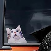 2 pcs Surprised Cat Funny Car Bumper Sticker,6 Inch Vinyl Decal, Waterproof,Die-Cut for Cars,Windows,Laptops
