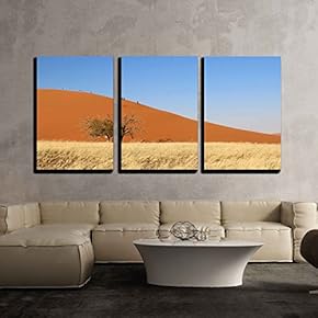 3 Piece Canvas Wall Art - Sossusvlei Sand Dunes Landscape in The Nanib Desert Near Sesriem, Namibia - Modern Home Art Stretched and Framed Ready to Hang - 16"x24"x3 Panels