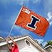 College Flags & Banners Co. Illini Big 10 University Large College Flag