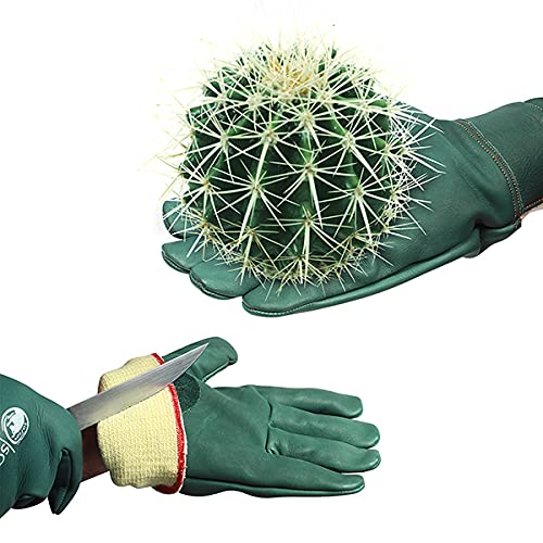 SAFTA Cut Resistant Gloves, Kevlar lining gloves Level 5 Protection, Thorn proof Gardening Gloves, Stab Proof Gloves for Handling Sharp Objects in Butcher | Mechanic | Industrial Work.(One Pair, XL)