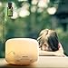 Large Essential Oil Diffuser for Aromatherapy, Aroma Ultrasonic Cool Mist Humidifier-Soothing Color Night Light- Extremely Quiet- 300ml-Brown-for Home, Large Room and Spa by Aromacare