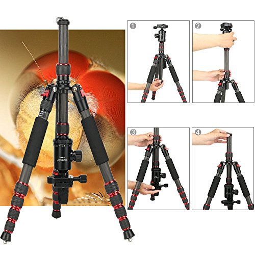BONFOTO B690C Portable Carbon Tripod Monopod Kit & Ball Head Compact for Canon Sony, Nikon, Samsung, Panasonic, Olympus, Kodak, Fuji, DSLR Cameras and Video Camera - Thumbnail 5